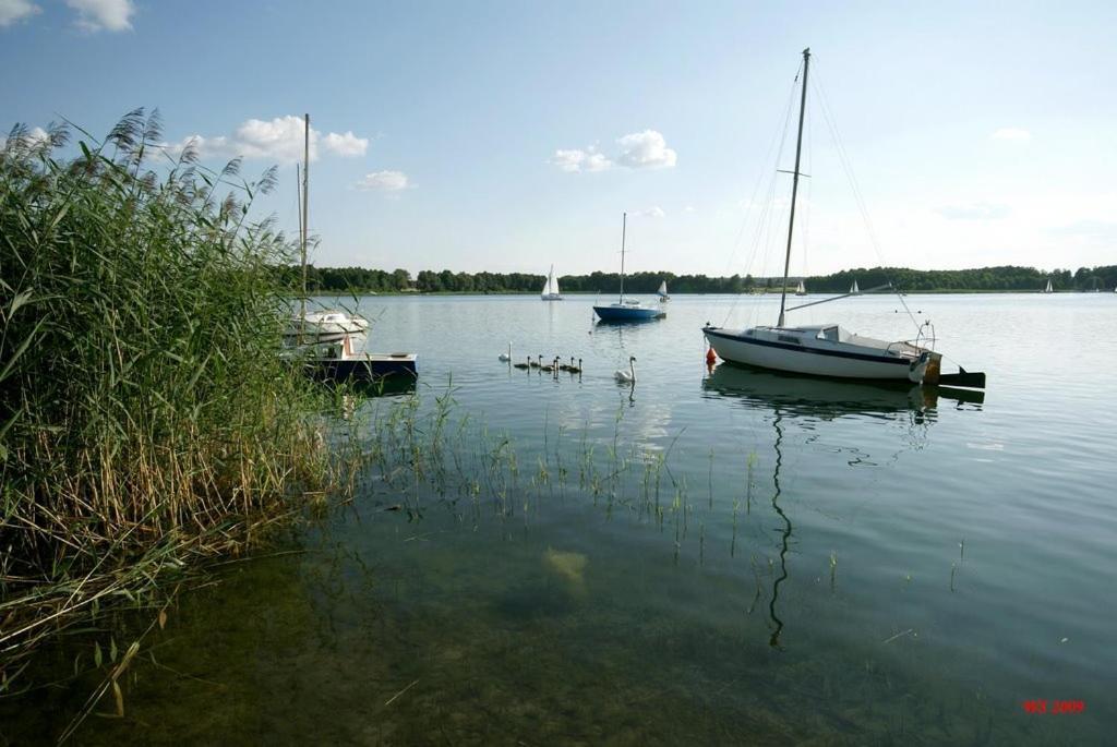 Noclegi Pod Modrzewiem Powidz  Exterior foto